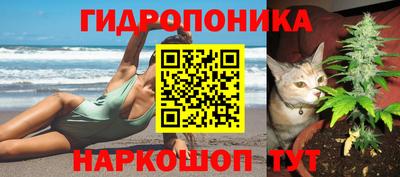 PSILOCYBIN Пугачёв