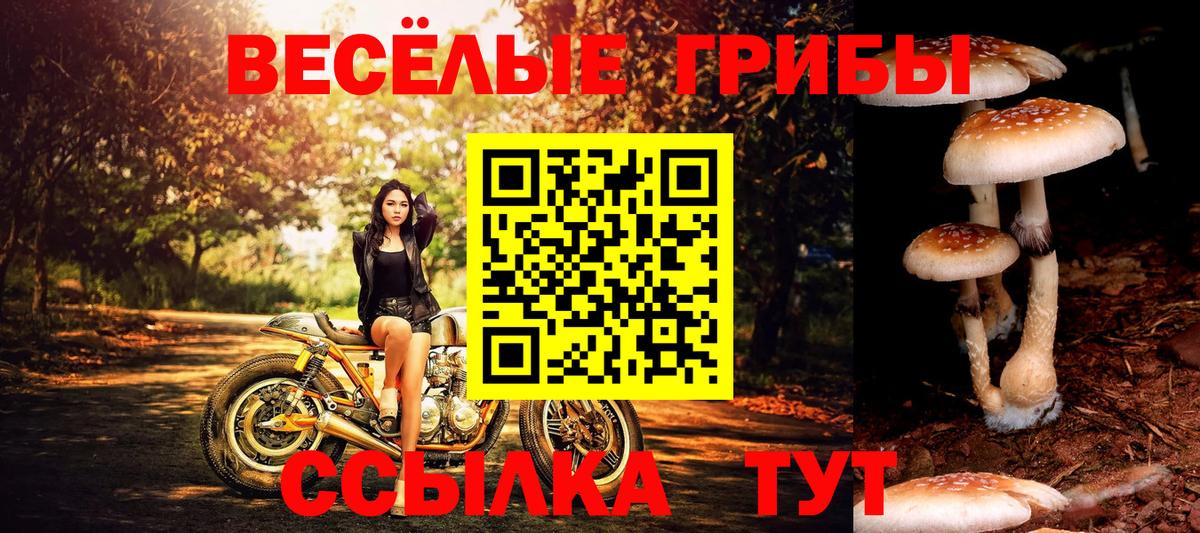 Галлюциногенные грибы мицелий Аксай